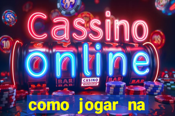 como jogar na lotinha do jogo do bicho